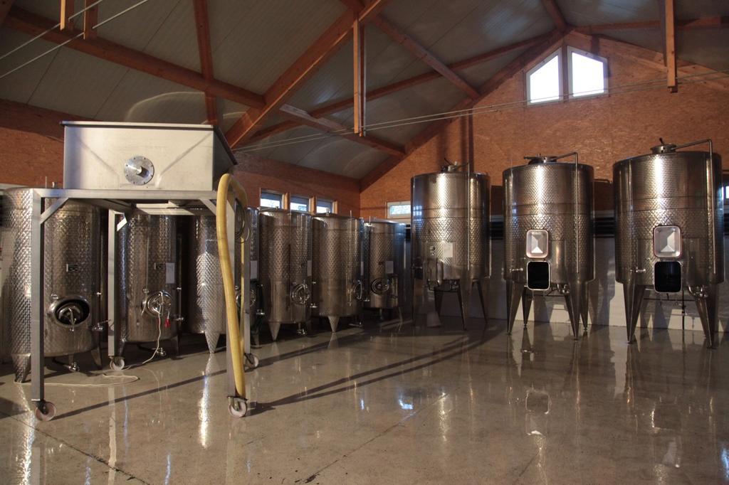 Winzerzimmer - Weingut Tinhof Eisenstadt Zewnętrze zdjęcie