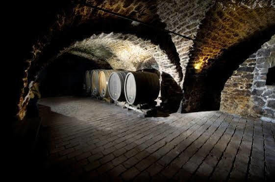 Winzerzimmer - Weingut Tinhof Eisenstadt Zewnętrze zdjęcie