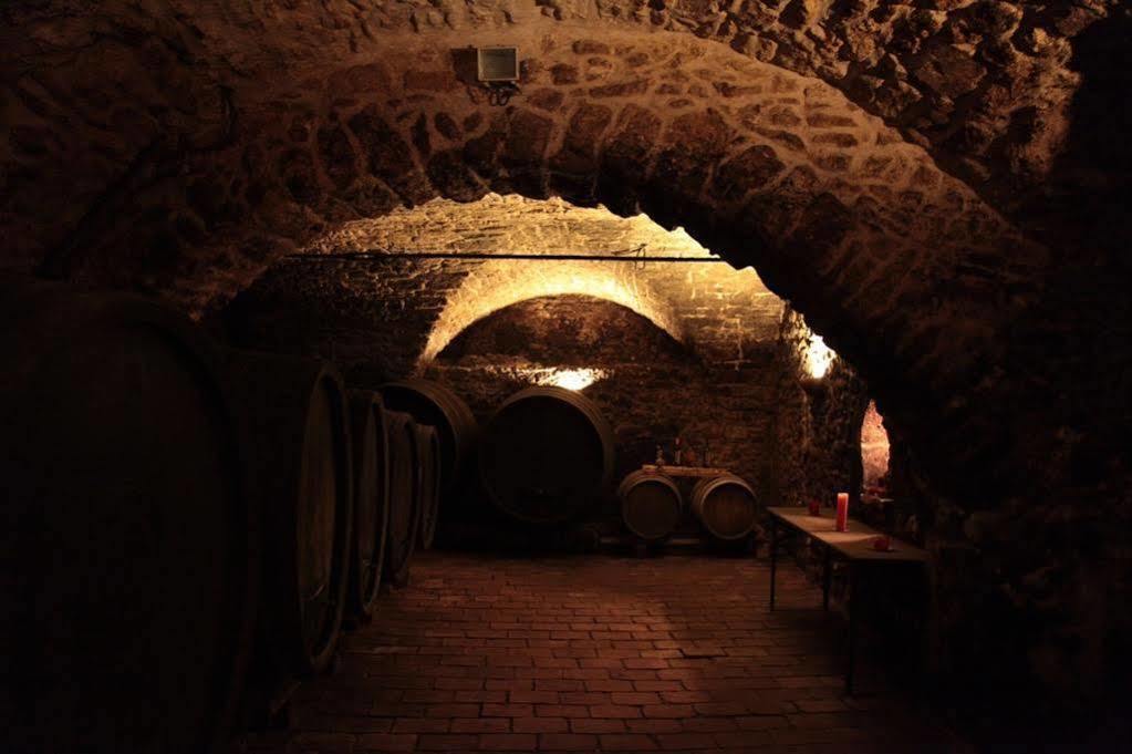 Winzerzimmer - Weingut Tinhof Eisenstadt Zewnętrze zdjęcie